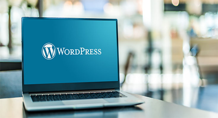 WordPress vs Other CMS Platforms: The Ultimate Showdown