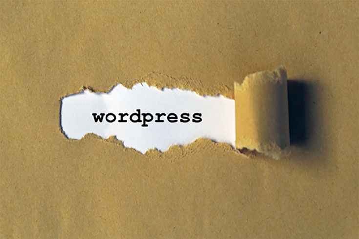 Understanding WordPress